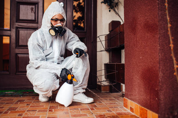 Reliable Ant Control contractor in Cornish, ME by Show Me Pest Control